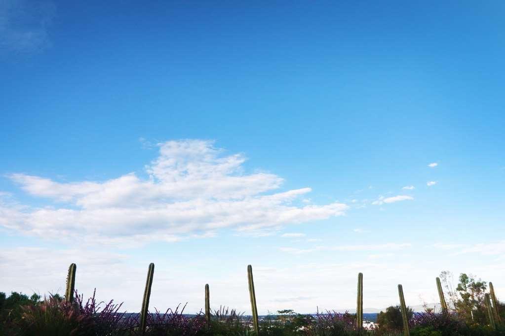 Albor San Miguel De Allende Tapestry Collection By Hilton 외부 사진
