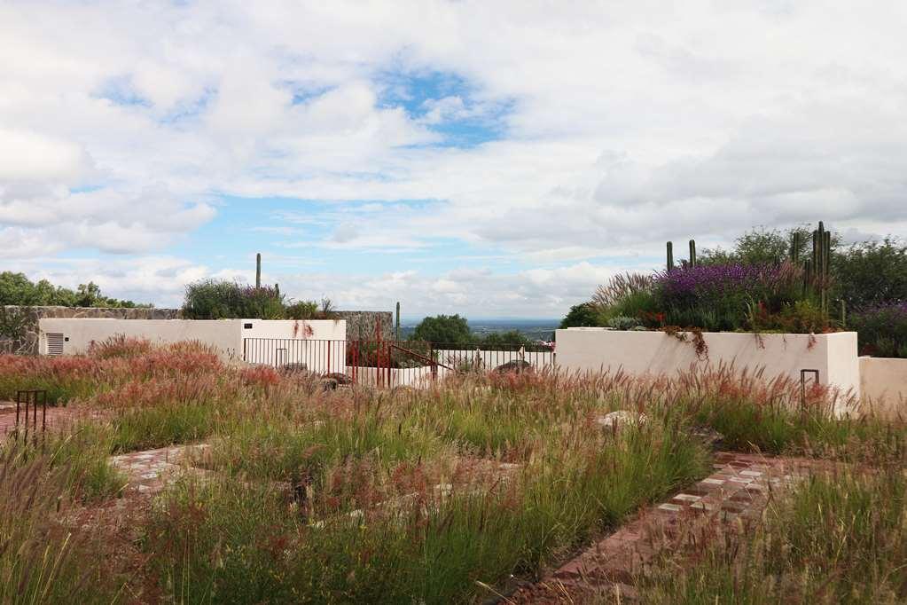 Albor San Miguel De Allende Tapestry Collection By Hilton 외부 사진